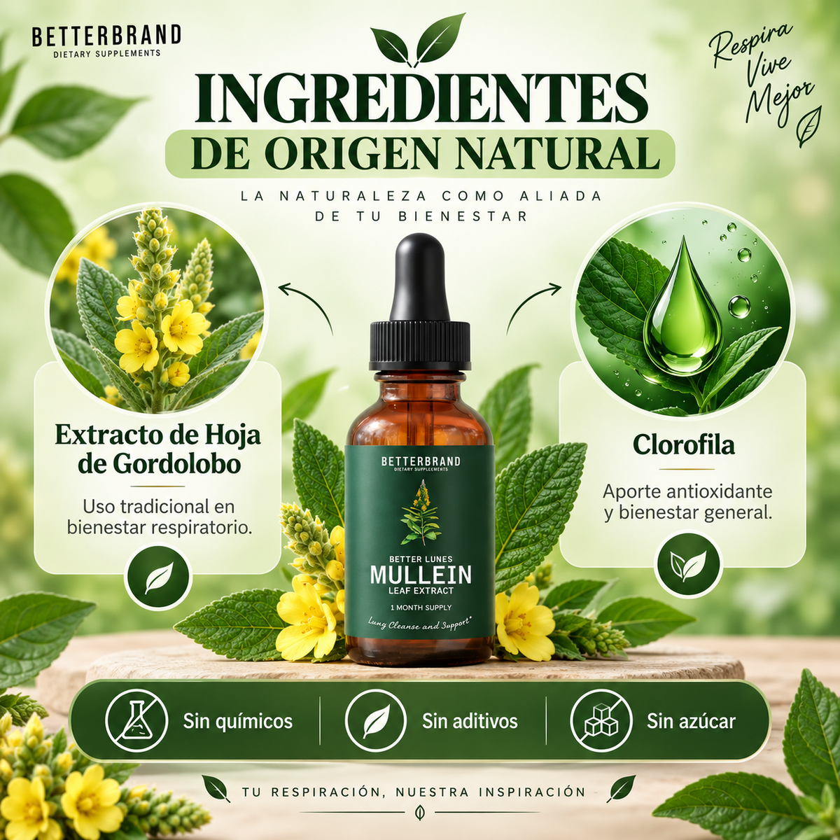 Mullein — Gotas de Gordolobo y Clorofila, 30ml