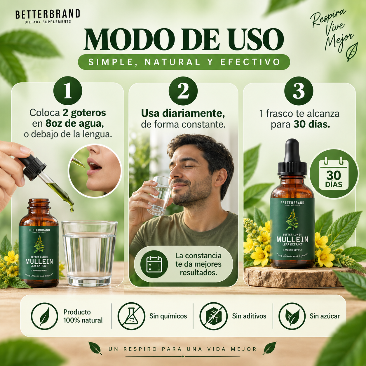 Mullein — Gotas de Gordolobo y Clorofila, 30ml