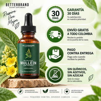 Mullein — Gotas de Gordolobo y Clorofila, 30ml